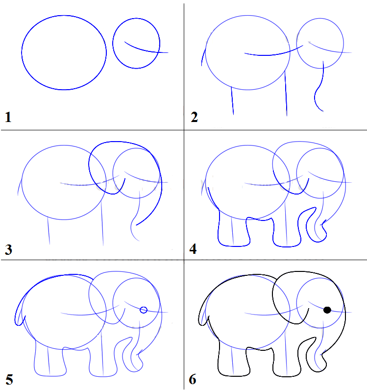 How to draw an elephant with a pencil in stages