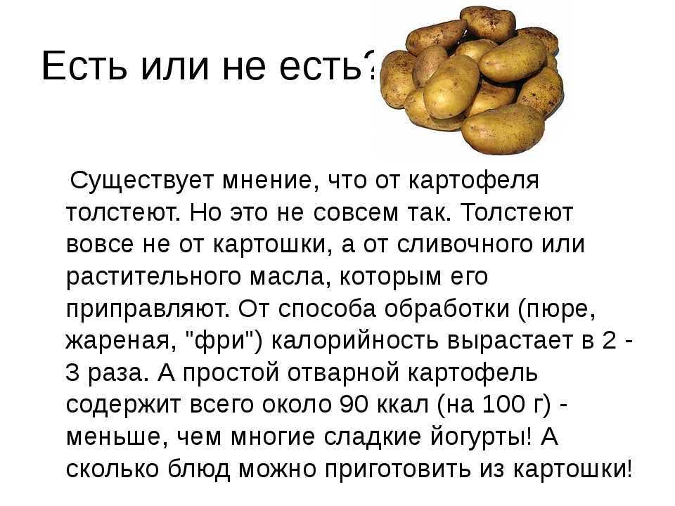 Толстеют ли от картошки?