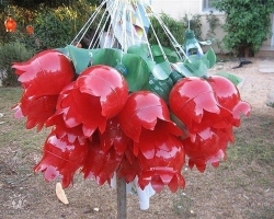 Crafts from plastic bottles for a summer house and garden step by step for beginners. How can you make a swan, a dove, a mosquito trap, a broom, an ottoman, a vase for flowers, roses, chamomile, pig, owl, God's cow, butterfly, peacock?