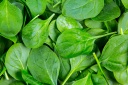 Is it possible to eat spinach raw - benefits and possible harm