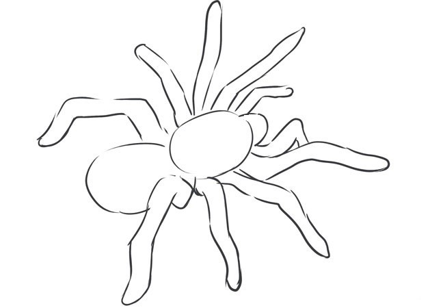 How to make a spider from mastic?