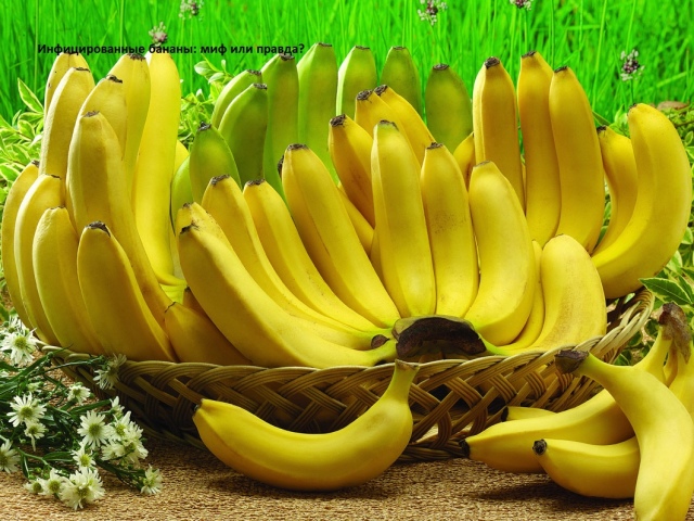 Бананы с кровью с ВИЧ инфекцией, СПИДом из Сирии: правда ли это, может ли ВИЧ жить в банане? Можно ли заразиться ВИЧ, СПИДом через бананы, фрукты? Внутри банана что-то красное: что это?