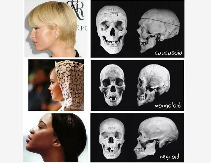 Określamy naturę mężczyzny i kobiety w kształcie głowy, czaszka