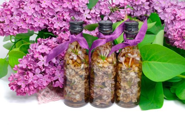 Lilac ordinaire: propriétés thérapeutiques et contre-indications, utilisation en médecine folklorique. Teinture de fleurs lilas pour le traitement des articulations et des reins de lilas avec le diabète: recettes