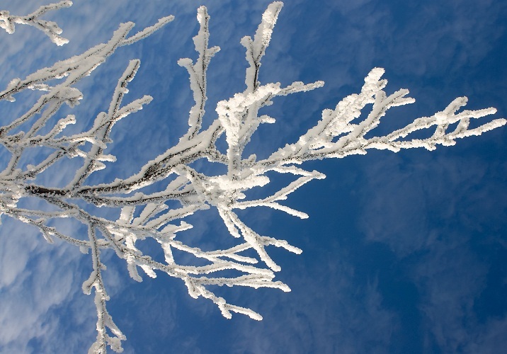 This is what the frost looks like that chooses narrow and small surfaces in the form of branches and wires