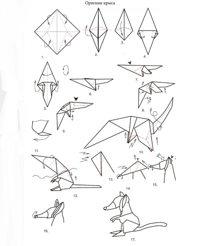 Схема выполнения крысы оригами