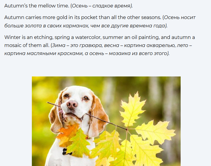 Beautiful quotes about autumn in English