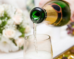 What is the difference between sparkling wine from champagne: comparison of properties, difference, difference. Which is better: champagne or sparkling wine? How to choose a good champagne?
