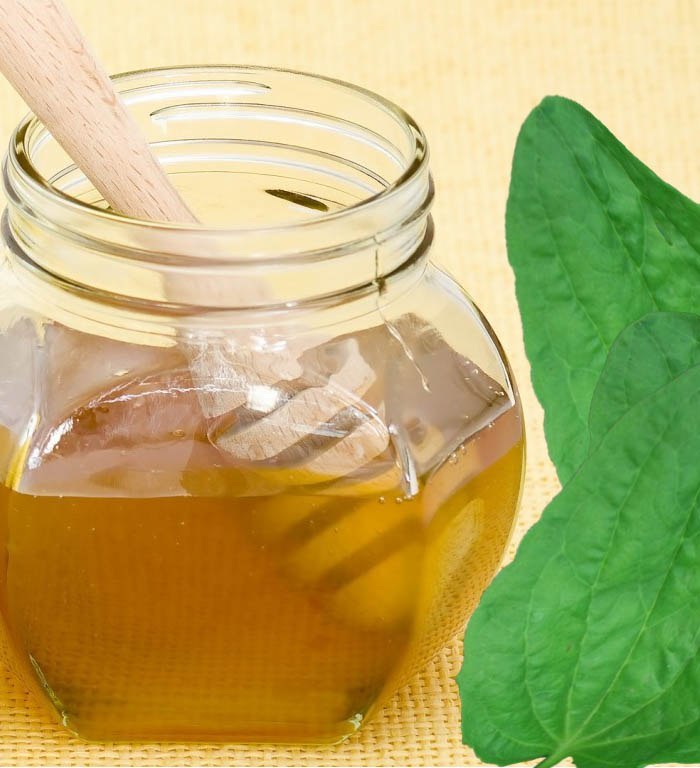 Le miel avec du plantain est traité avec la lamblia