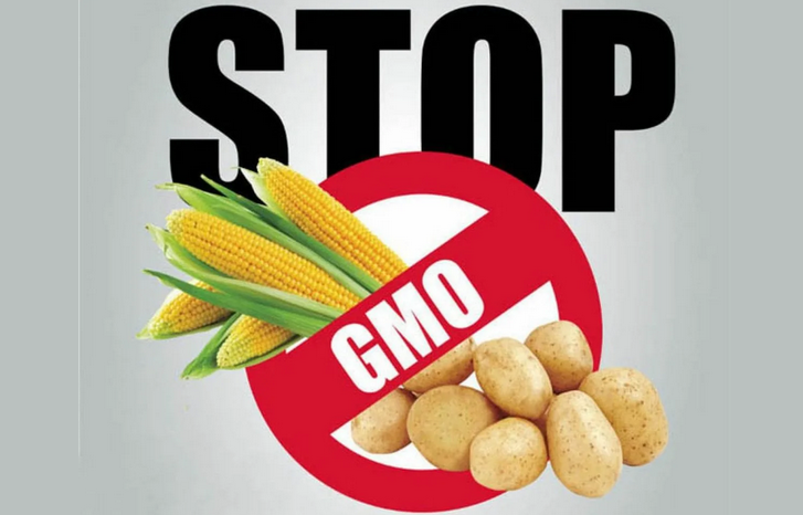 Реферат: Генетически-модифицированные организмы ГМО . Их опасность для человека и окружающей среды