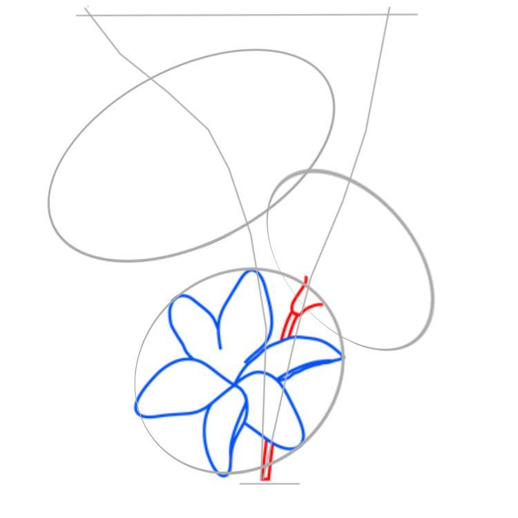 Peduncle dari Lily Kedua