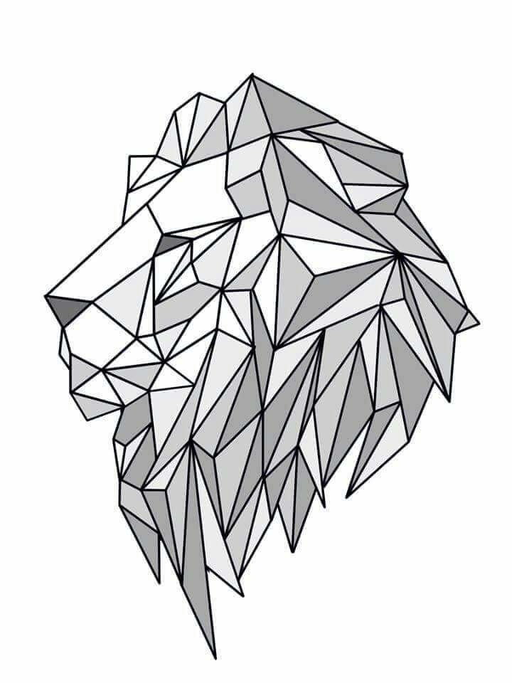 Профиль льва: геометрия