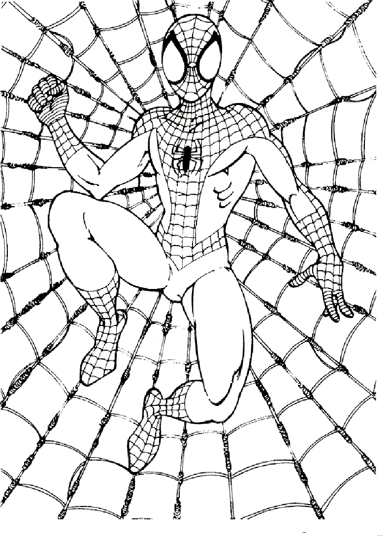 Risbe Spider-Man za skiciranje, možnost 27
