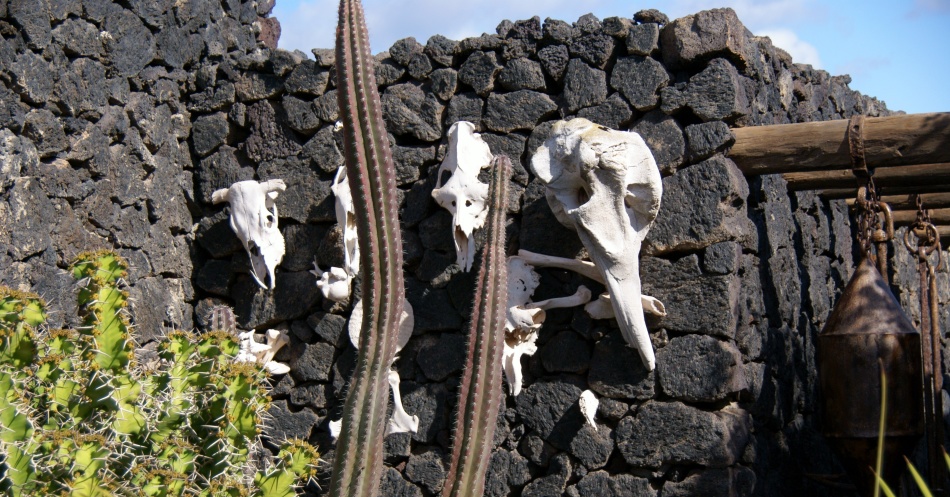 Musée de la maison Cesar Manrique, Lansarot, Canaries