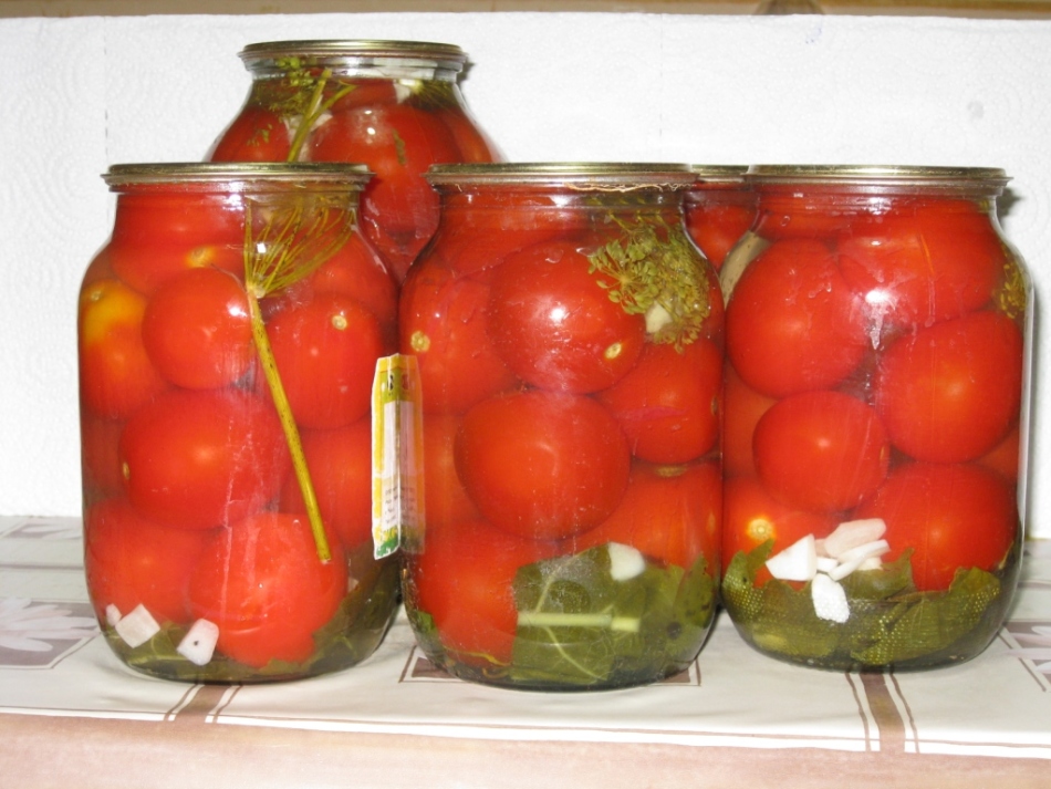 Comment ramasser des tomates dans les banques, comme à partir d'un baril: recette