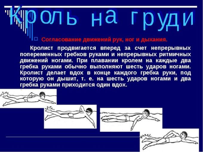 Движение дыхание техника. Кроль техника плавания фазы. Фазы движений при плавании кролем на груди. Техника плавания способом Кроль на груди движение ногами. При плавании кролем на груди дыхание выполняется.