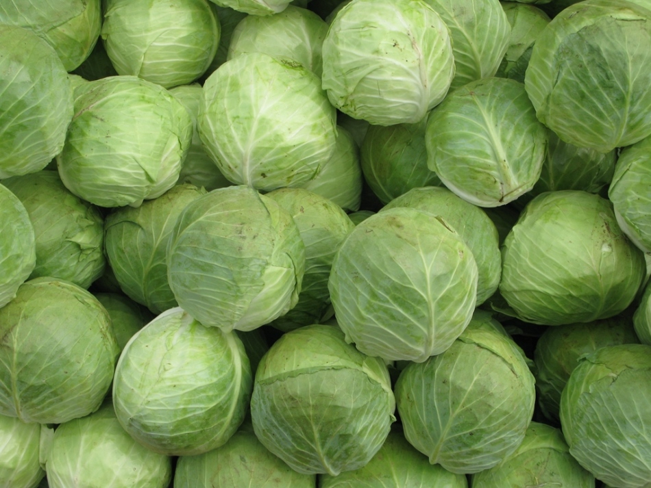 Why dream a lot of cabbage?