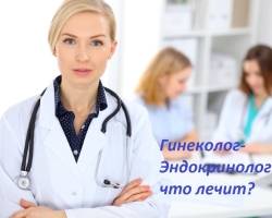 Who is the doctor gynecologist-endocrinologist, surgeon-endocrinologist, nutritionist-endocrinologist: what does the reception are treating?