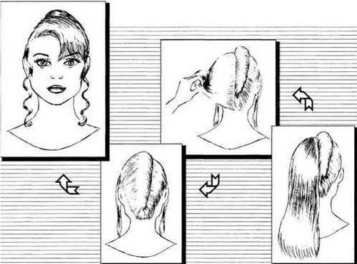 Hairstyle double shell: diagram