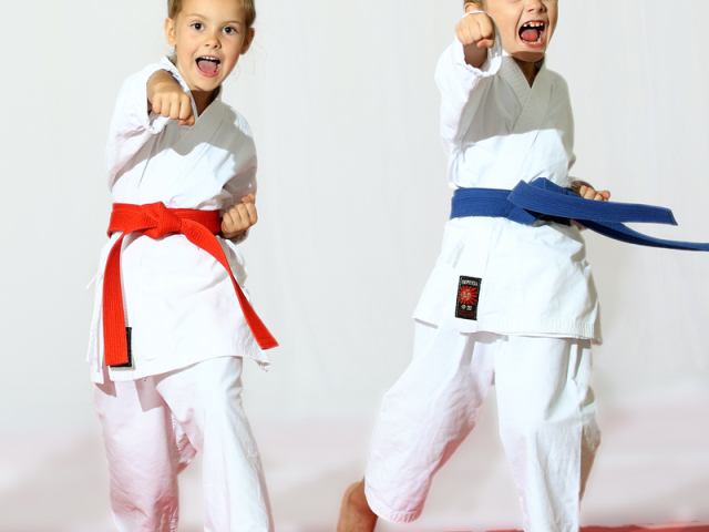 What is the difference between judo and sambo: comparison. Which is better for self -defense, stronger, more practical for training: sambo or judo? What to choose for a child: sambo or judo: tips