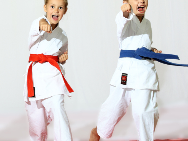 Quelle est la différence entre le judo et le sambo: comparaison. Quel est le meilleur pour l'auto-défense, plus fort, plus pratique pour la formation: Sambo ou Judo? Que choisir pour un enfant: Sambo ou Judo: Conseils