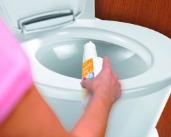 A WC -t eldugult: Mit kell tenni otthon? A WC -t eldugult: népi tisztítás, mechanikai módszerekkel és különleges eszközökkel