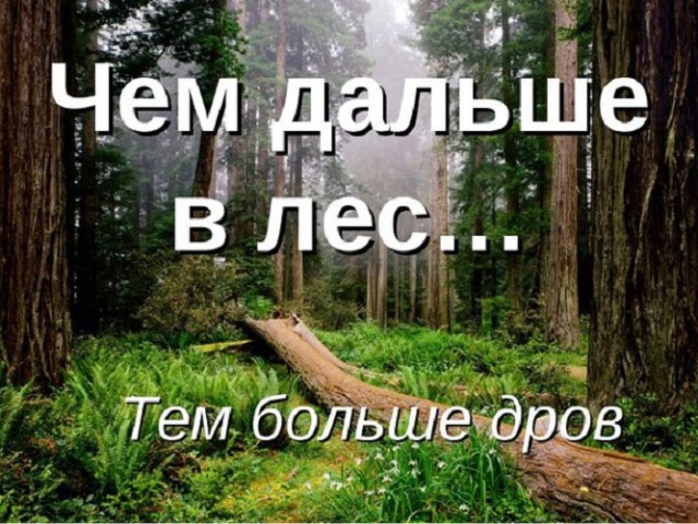 «Чем дальше в лес, тем больше дров»: происхождение, значение пословицы