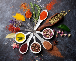 Vilka kryddor och kryddor för vilka rätter som används: för sallader, fisk, kött, desserter. Hur man köper, lagrar och använder kryddor korrekt?