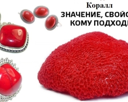 Coral stone: therapeutic and magical properties, to whom it is suitable for the zodiac sign, photo