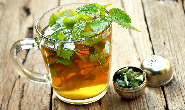 Folk remedies against itching skin: Melisa tea