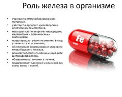 How to raise ferritin in the blood: methods. Low ferritin in blood serum with normal hemoglobin: what does this mean?