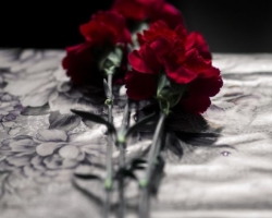 Rože na pokopališču: znaki. Katere rože lahko in ni mogoče posaditi na pokopališču?