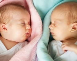 Как зачать и родить двойню?  Как зачать двойню естественным путем?
