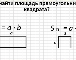 How to find the area of \u200b\u200ba rectangle?