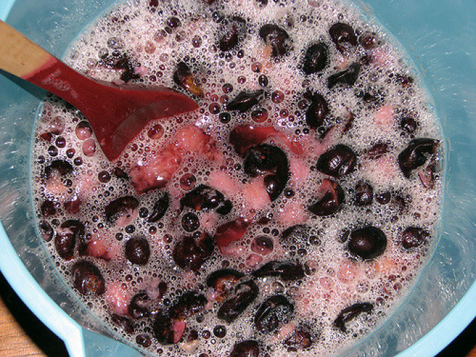 Fermentacija jabotabskih jagod.
