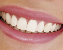 Сколько зубов у взрослого человека во рту в норме? Анатомия — виды и строение зубов человека: описание