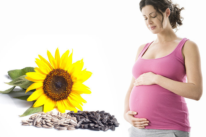 Benih bunga matahari untuk wanita hamil