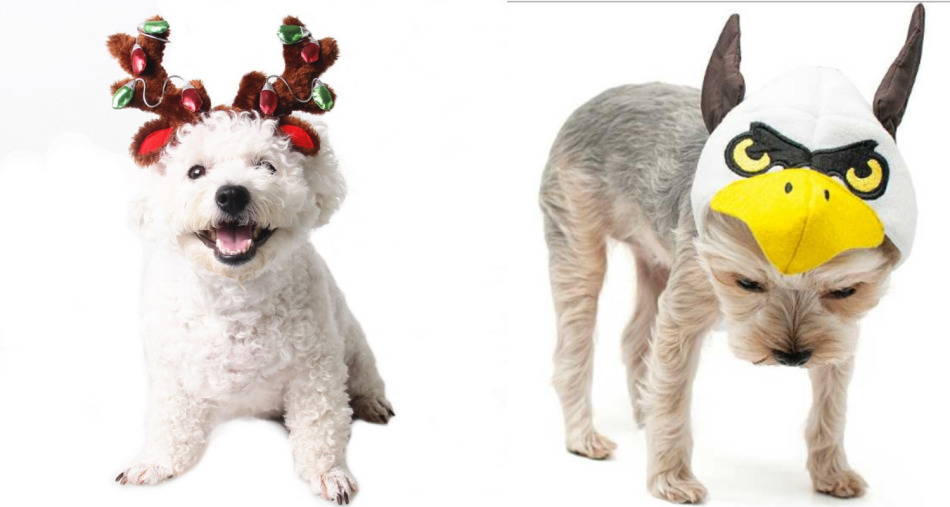 Новогодняя шапочка для собаки под оленя и орла
