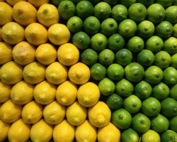 Apno in limona sta enaka ali ne? Kakšna je razlika med limono in apnom?