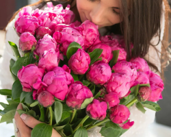 Peonies on Feng Shui for an unmarried girl: signs. Is it true that peonies attract love?