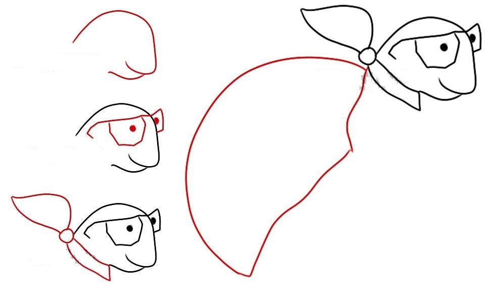 Fázisos rajzok bölcs teknősök ceruzával, első 4 lépés