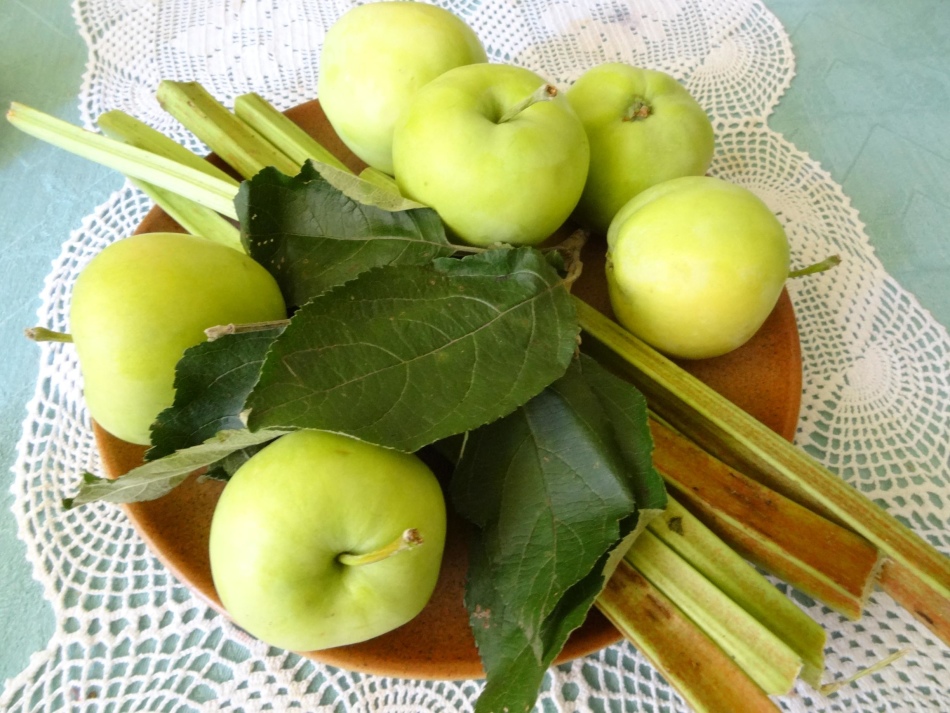 Judge for junks with apples and rhubarb