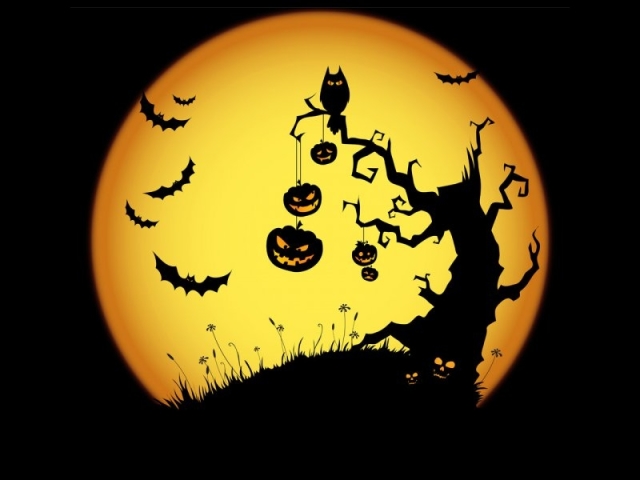 Что такое Хэллоуин, что за праздник, какого числа начинается? Традиции на Хэллоуин: страшные истории, конкурсы для детей и взрослых