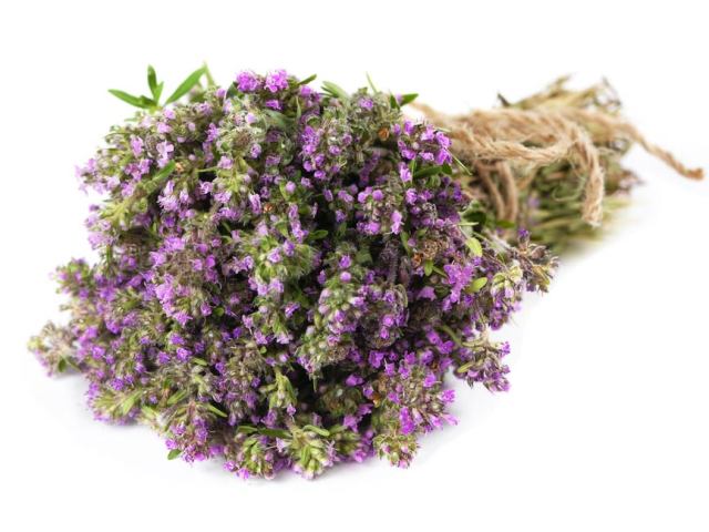 The benefits and side effects of thyme grass