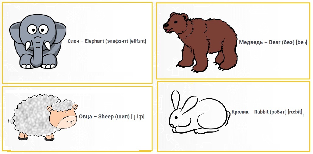 Карточки с картинками разных животных