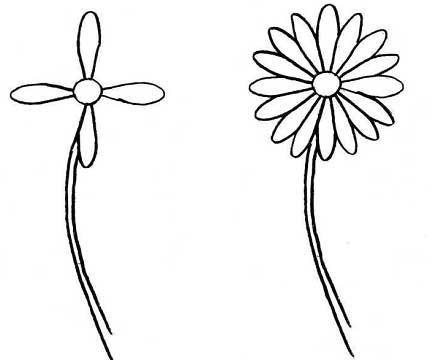 Draw a stem and petals