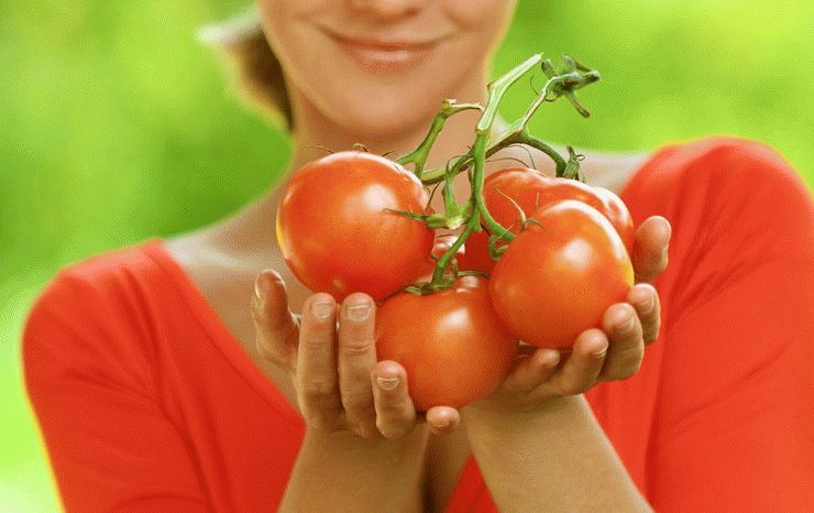 Sueño de tomates