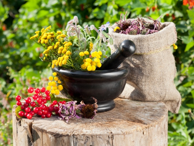 Πώς να χάσετε βάρος με βότανα; Αδυνατίσματα βότανα που καίγονται λίπος, καθαρτικά, διουρητικά, καθαρισμό, μείωση της όρεξης, επιτάχυνση του μεταβολισμού: δίαιτα, τσάι, αφέψημα, μπάνιο - συνταγές