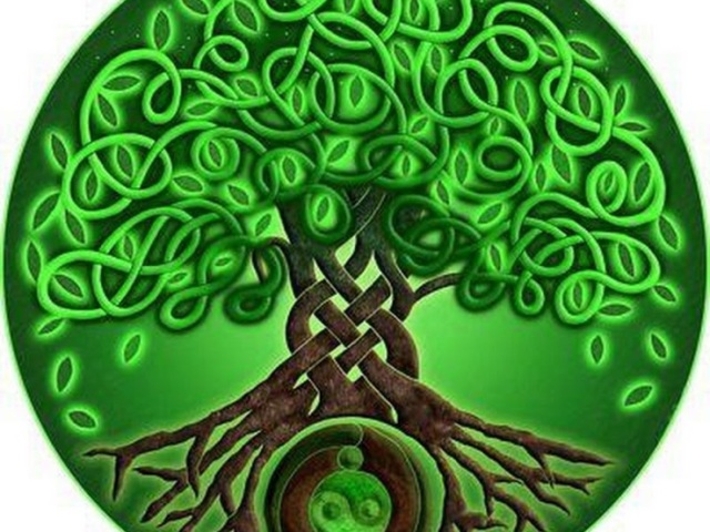 Masing -masing memiliki pohon sendiri: Horoskop Celtic lama (Stromoscope) menunjukkan yang satu dari mereka