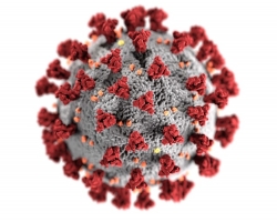 Применение Хлоргексидина при коронавирусе